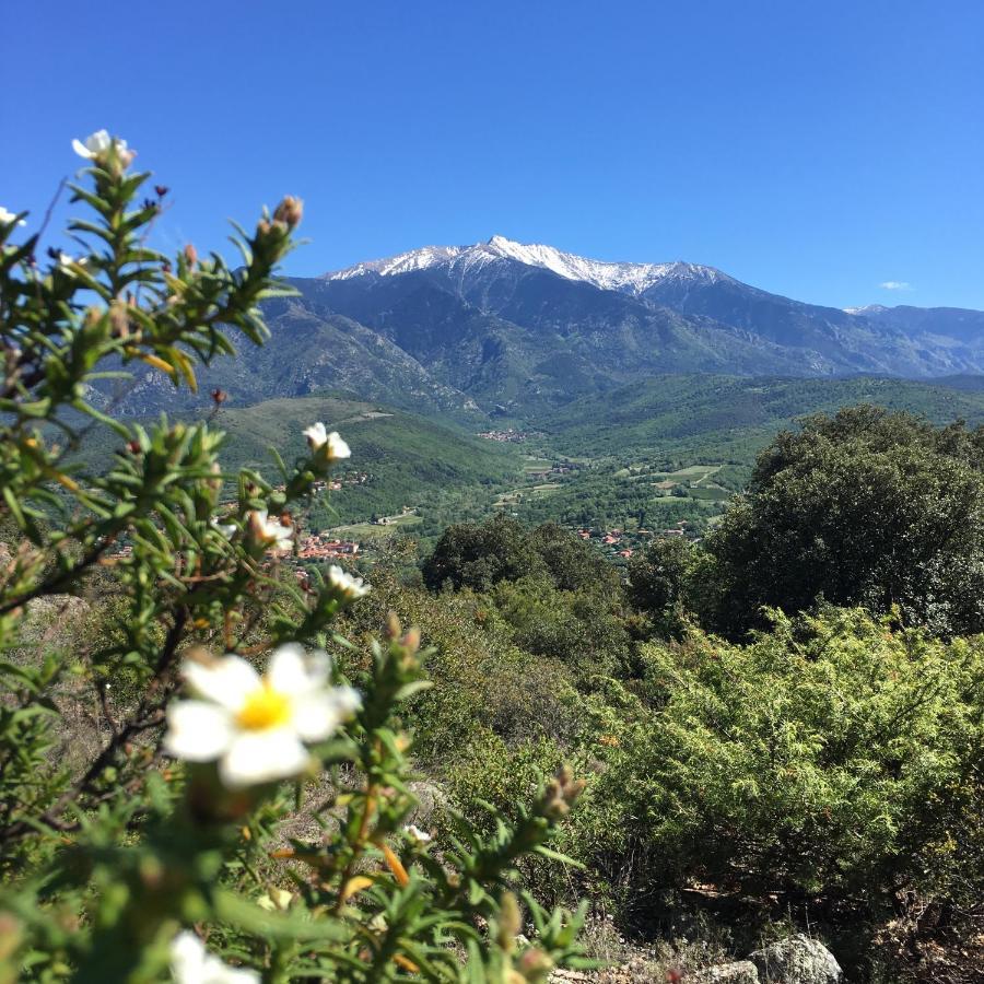 Les Loges De La Suite Prades  Exterior photo